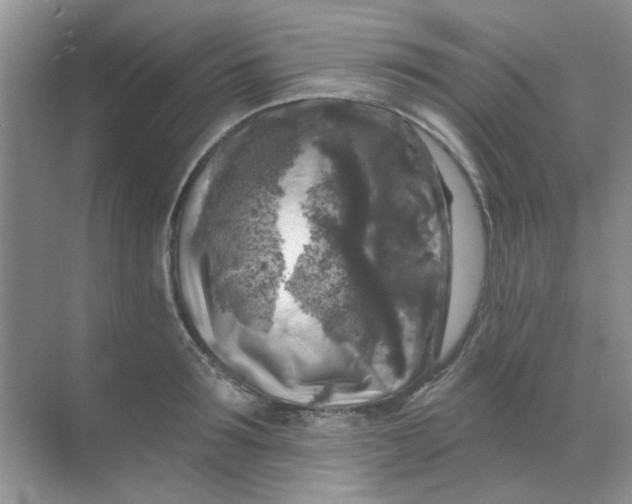 X0000068890899200605192132