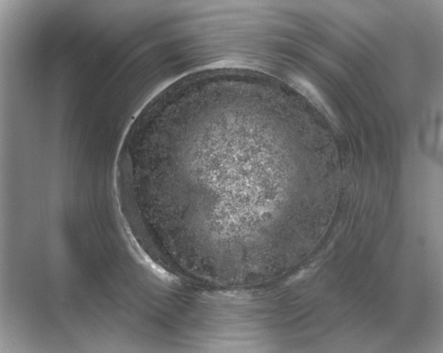 X0000068890900200605192132