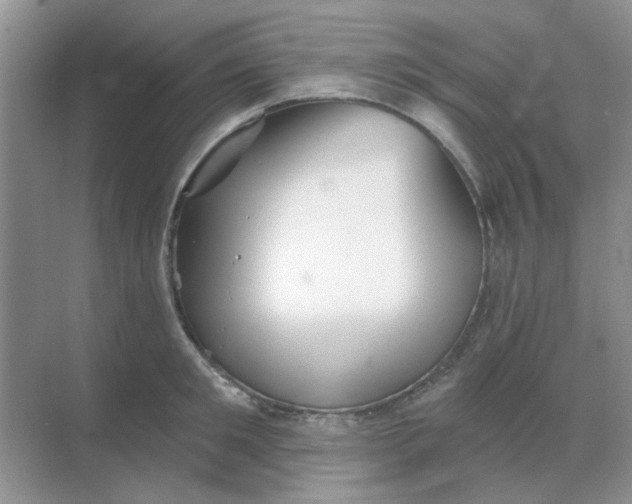 X0000068890901200605192132