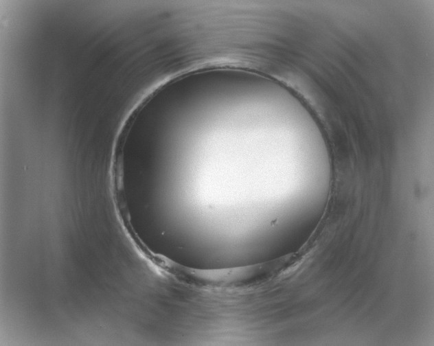 X0000068890902200605192132