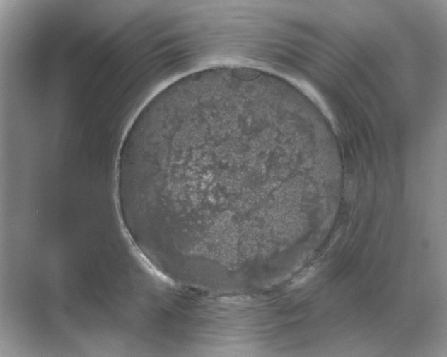 X0000068890903200605192132