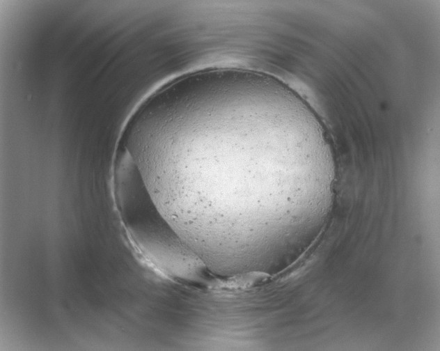 X0000068890904200605192132