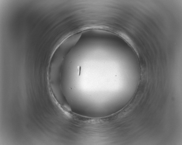 X0000068890906200605192132