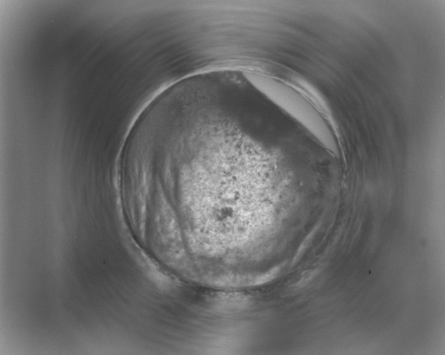 X0000068890907200605192132