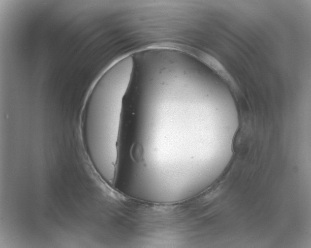 X0000068890908200605192132