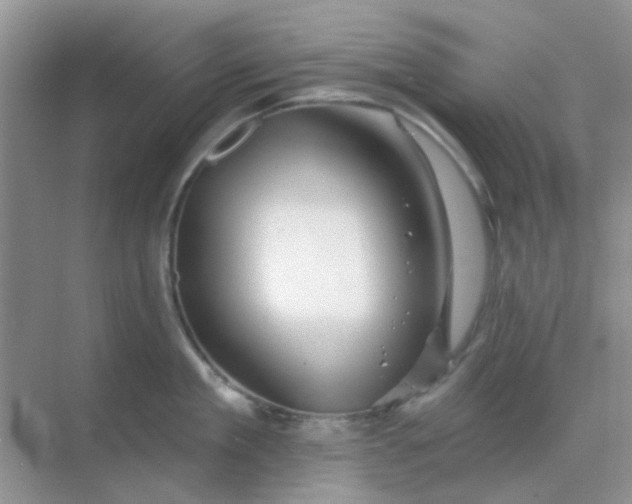 X0000068890909200605192132