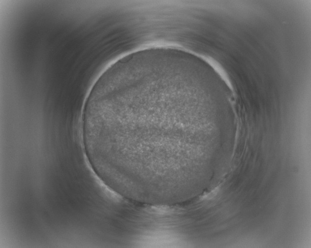 X0000068890911200605192132