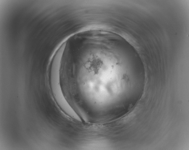 X0000068890912200605192132