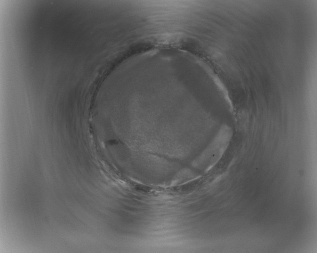 X0000068890913200605192131