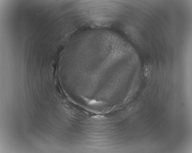 X0000068890915200605192131