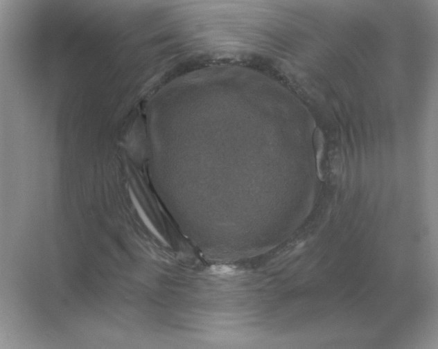 X0000068890916200605192131