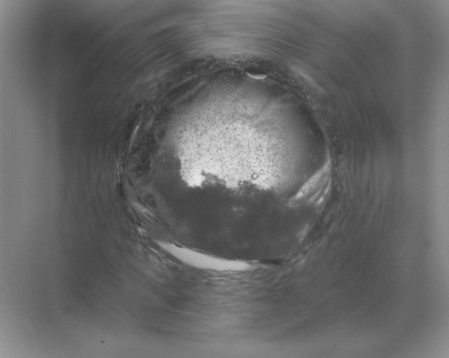 X0000068890917200605192131