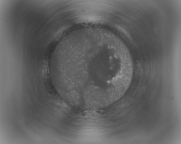 X0000068890918200605192131