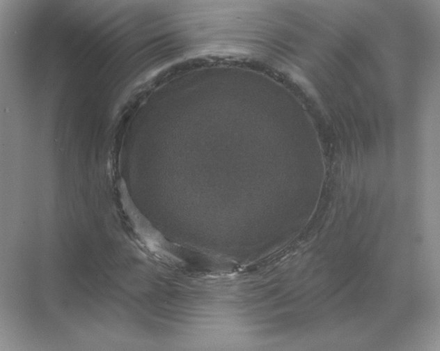 X0000068890920200605192131