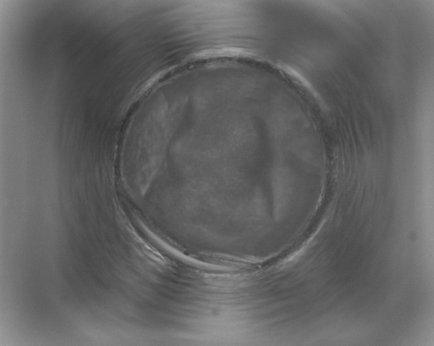 X0000068890921200605192131