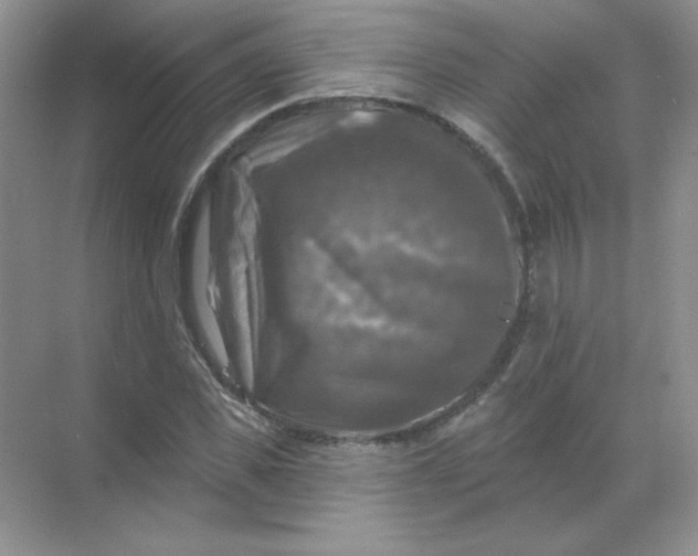 X0000068890925200605192131