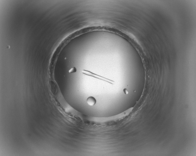 X0000068890927200605192131