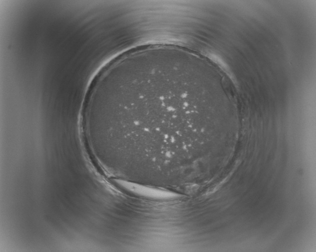 X0000068890928200605192131