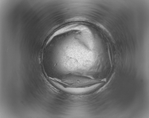 X0000068890929200605192131