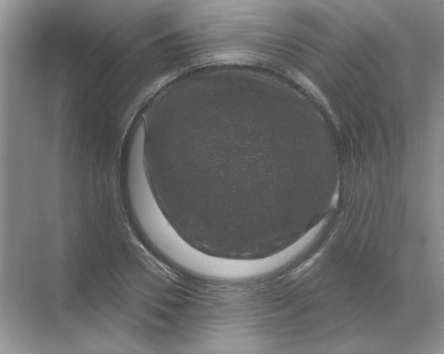 X0000068890930200605192131