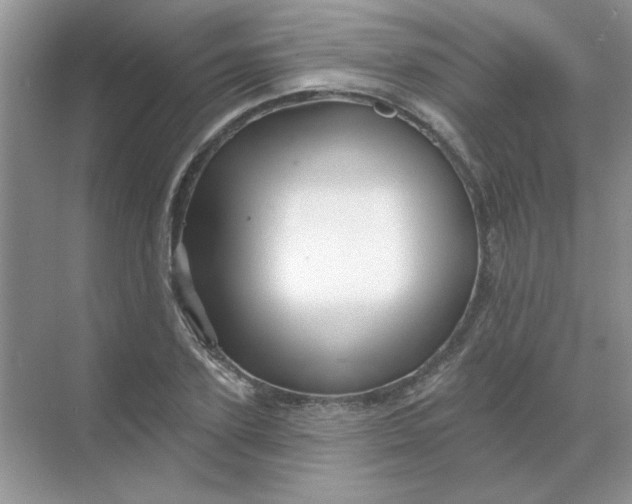 X0000068890931200605192131