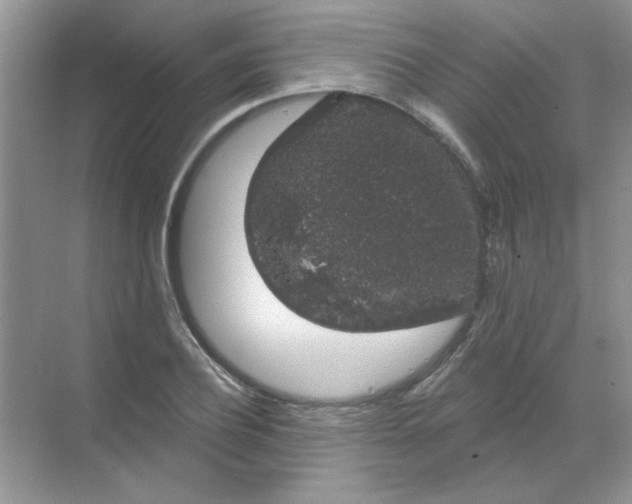 X0000068890932200605192131