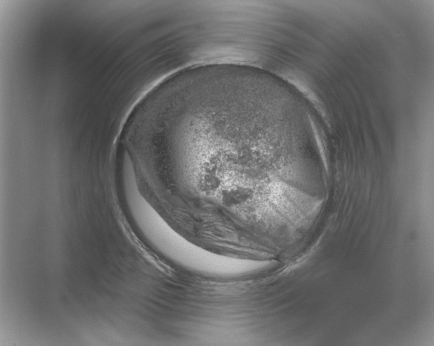 X0000068890933200605192131