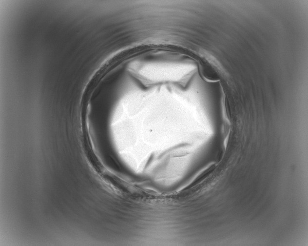 X0000068890934200605192131