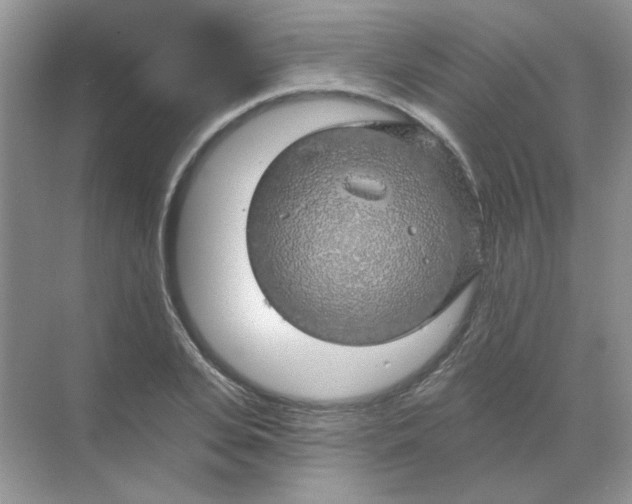 X0000068890935200605192131