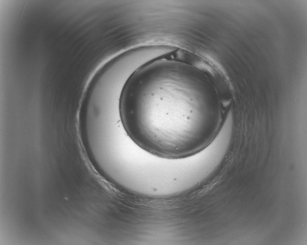 X0000068890936200605192131