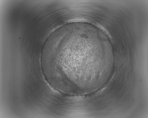 X0000068890937200605192131