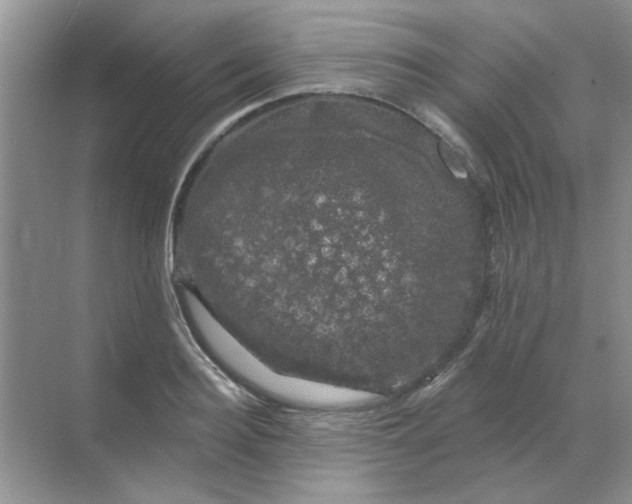 X0000068890940200605192131