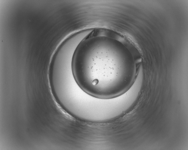 X0000068890942200605192131