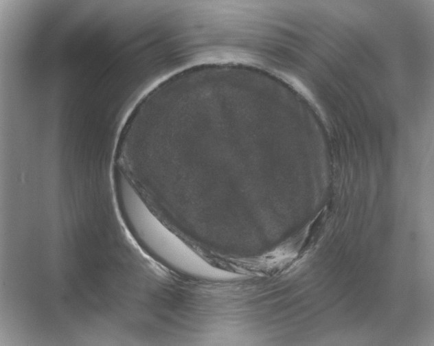 X0000068890943200605192131