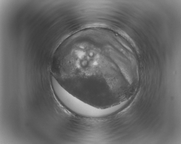 X0000068890945200605192131