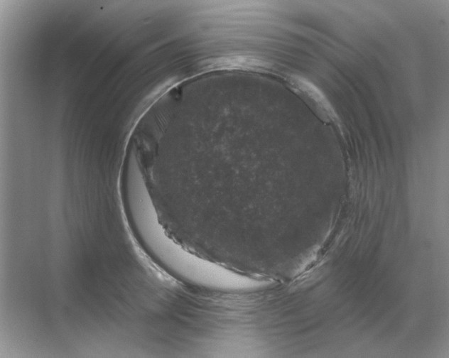 X0000068890946200605192131