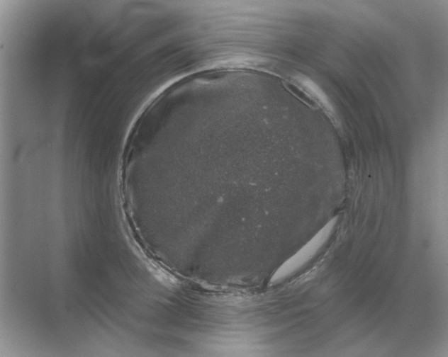 X0000068890948200605192131