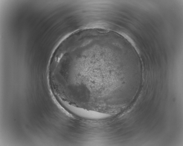 X0000068890949200605192131