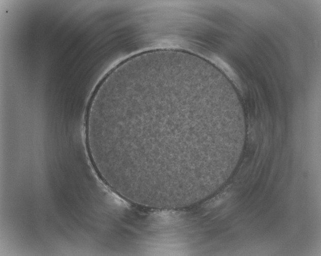 X0000068890950200605192131