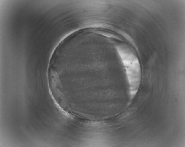 X0000068890951200605192131