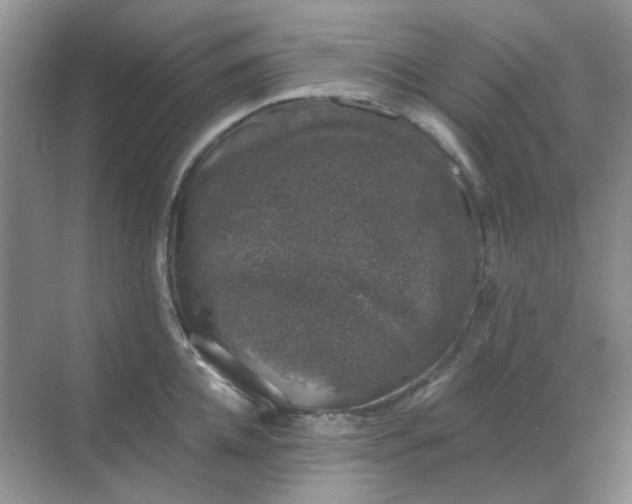 X0000068890952200605192131