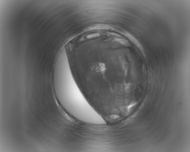 X0000068890953200605192131