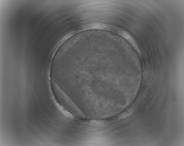 X0000068890954200605192131