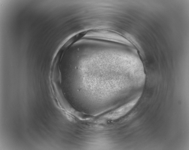 X0000068890956200605192131