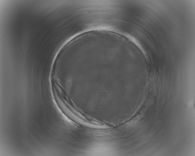 X0000068890959200605192132