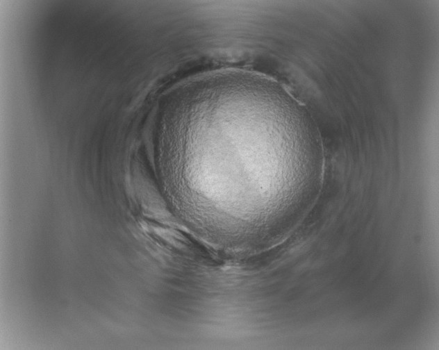 X0000068890961200605192131