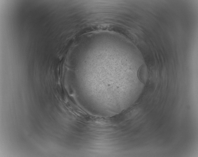 X0000068890962200605192131