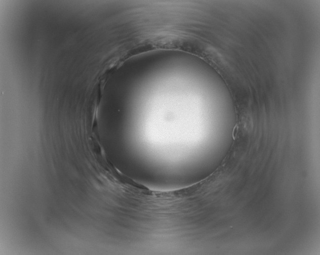 X0000068890964200605192131