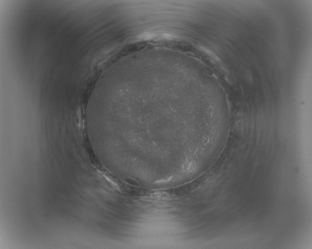 X0000068890966200605192131