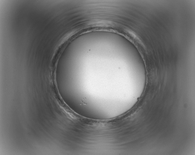 X0000068890970200605192131